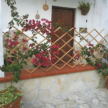 La Taverna Dei Ciucci